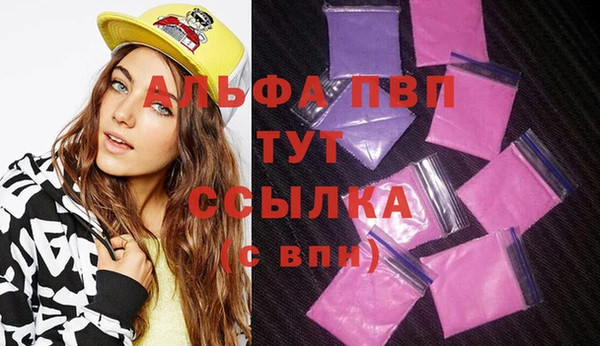 стаф Абинск
