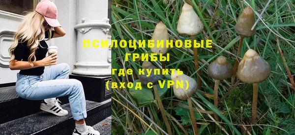 стаф Абинск