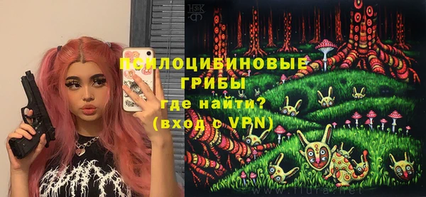 стаф Абинск