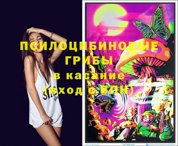 стаф Абинск